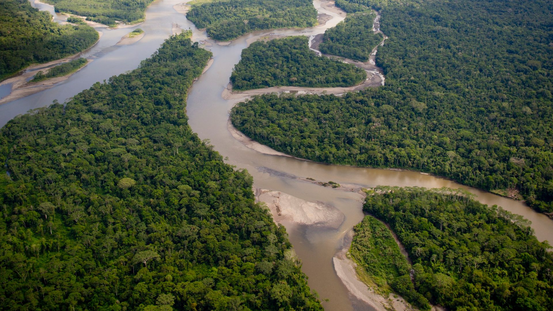 Aerial view of a river winding through dense forest